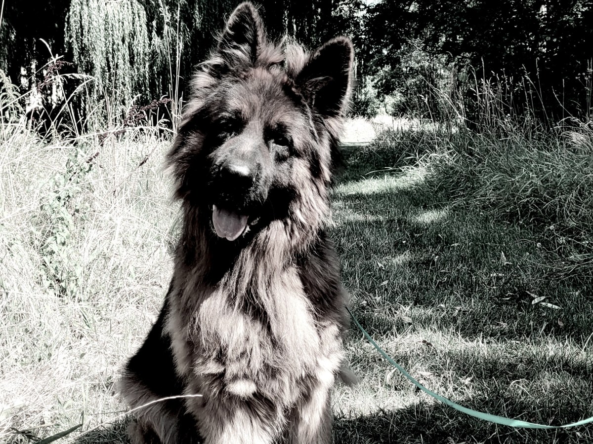 Ruhe in Frieden, Bruno….